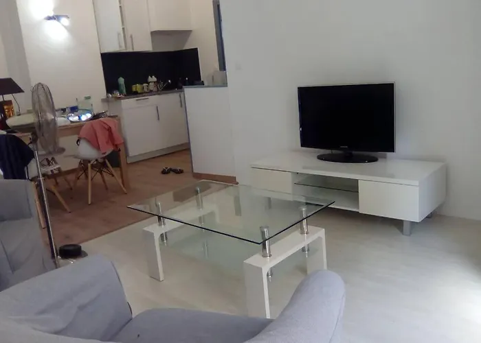 Old Center Last Stage Apartment